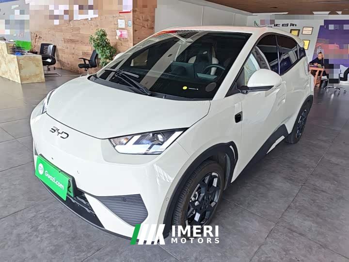 BYD Seagull Smart Driving Edition 305km Freedom Edition - ავტომობილი ჩინეთიდან