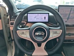 BYD Seagull Smart Driving Edition 305km Freedom Edition - ფოტო 10