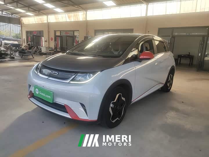 BYD Dolphin 405km Freedom Edition - ავტომობილი ჩინეთიდან