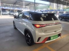 BYD Dolphin 405km Freedom Edition - ფოტო 4