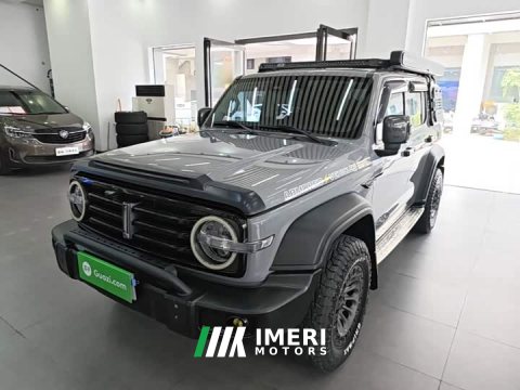 2021 Tank 300 Off-Road Edition 2.0T Conqueror - ავტომობილი ჩინეთიდან