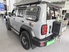 Tank 300 Off-Road Edition 2.0T Conqueror - ფოტო 4