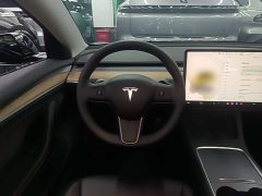 Tesla Model 3 2022 Rear-Wheel Drive - ფოტო 10