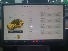 Tesla Model 3 2022 Rear-Wheel Drive - ფოტო 11