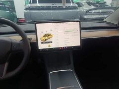 Tesla Model 3 2022 Rear-Wheel Drive - ფოტო 12