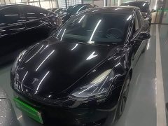 Tesla Model 3 2022 Rear-Wheel Drive - ფოტო 2