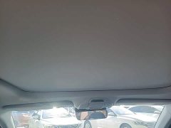 Geely Xingrui 2.0T Diesel Premium - ფოტო 17