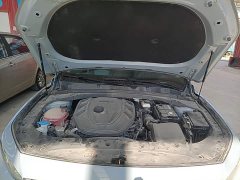 Geely Xingrui 2.0T Diesel Premium - ფოტო 19