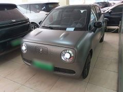 ORA Black Cat 2022 301km Cute Pet Edition LFP Battery - ფოტო 1