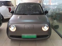 ORA Black Cat 2022 301km Cute Pet Edition LFP Battery - ფოტო 2