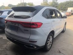 Haval M6 PLUS 1.5T DCT Luxury Smart Connected Edition - ფოტო 6
