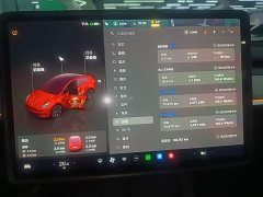 Tesla Model Y Rear-Wheel Drive - ფოტო 11