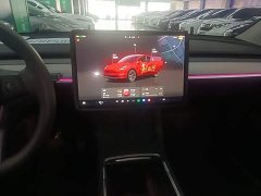 Tesla Model Y Rear-Wheel Drive - ფოტო 12