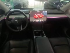 Tesla Model Y Rear-Wheel Drive - ფოტო 9