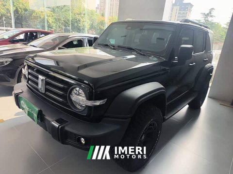 2022 Tank 300 2021 Off-Road Edition 2.0T Conqueror - ავტომობილი ჩინეთიდან