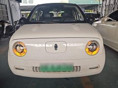 ORA Black Cat 351km Luxury - ფოტო 2