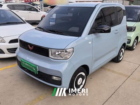 2022 Wuling Hongguang MINIEV Easy Edition LFP Battery