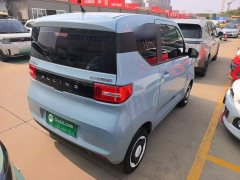 Wuling Hongguang MINIEV Easy Edition LFP Battery - ფოტო 6