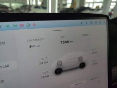 Nio Lerado L60 2024 60kWh Rear-Wheel Drive - ფოტო 11