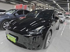 Tesla Model Y Rear-Wheel Drive - ფოტო 1