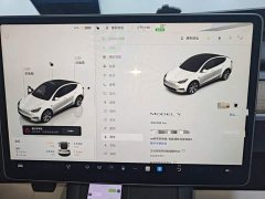 Tesla Model Y Rear-Wheel Drive - ფოტო 11