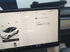 Tesla Model Y Rear-Wheel Drive - ფოტო 12