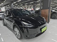 Tesla Model Y Rear-Wheel Drive - ფოტო 3