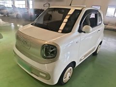 FAW Besturn Xiaoma 170km Vitality Edition - ფოტო 1
