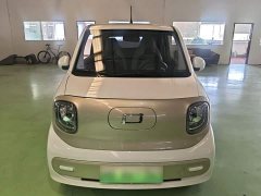 FAW Besturn Xiaoma 170km Vitality Edition - ფოტო 2
