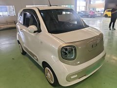 FAW Besturn Xiaoma 170km Vitality Edition - ფოტო 3