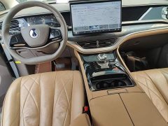 Denza BYD Denza D9 2022 DM-i 1040 Premium - ფოტო 9