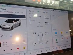 Li Auto L7 Ultra - ფოტო 11