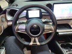 BYD Dolphin 2025 420km Freedom Edition - ფოტო 10