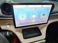 BYD Dolphin 2025 420km Freedom Edition - ფოტო 12