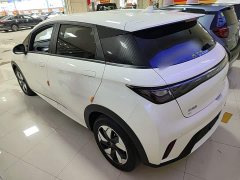 BYD Dolphin 2025 420km Freedom Edition - ფოტო 4