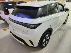 BYD Dolphin 2025 420km Freedom Edition - ფოტო 6