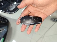 BYD Dolphin 2025 420km Freedom Edition - ფოტო 8