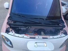 FAW Besturn Xiaoma 222km Dynamic Edition - ფოტო 19