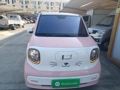 FAW Besturn Xiaoma 222km Dynamic Edition - ფოტო 2
