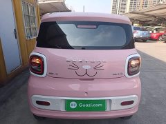 FAW Besturn Xiaoma 222km Dynamic Edition - ფოტო 5