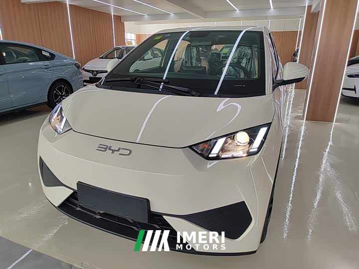 BYD Seagull 2025 Smart Drive 305km Vitality Edition - ავტომობილი ჩინეთიდან