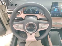 BYD Seagull 2025 Smart Drive 305km Vitality Edition - ფოტო 10