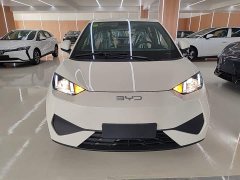 BYD Seagull 2025 Smart Drive 305km Vitality Edition - ფოტო 2