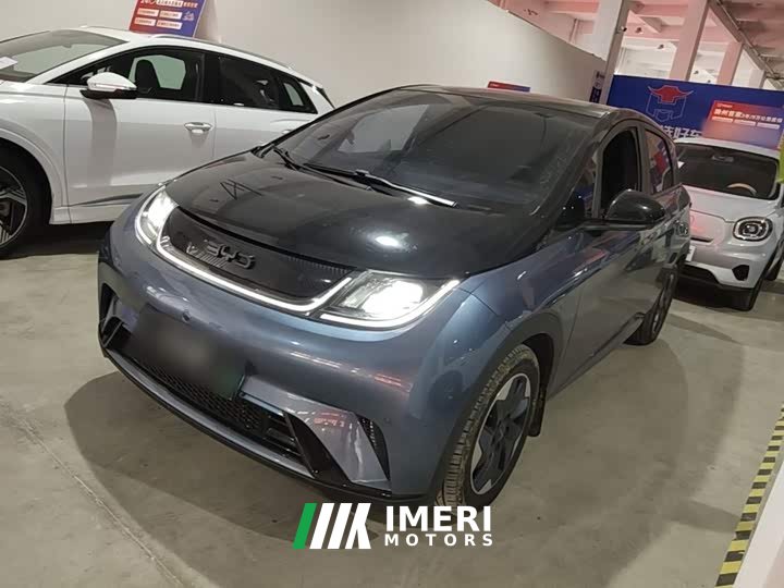 BYD Dolphin Glory Edition 420km Fashion Version - ავტომობილი ჩინეთიდან