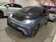 BYD Dolphin Glory Edition 420km Fashion Version - ფოტო 1