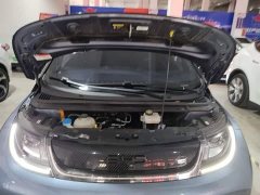 BYD Dolphin Glory Edition 420km Fashion Version - ფოტო 15