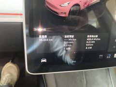 Tesla Model Y Long Range All-Wheel Drive - ფოტო 11