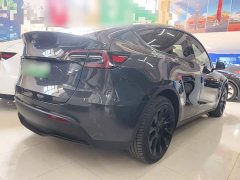 Tesla Model Y Long Range All-Wheel Drive - ფოტო 6