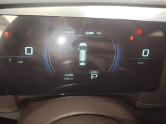 Wuling Starlight 730 New Energy 2025 Pure Electric 500km Luxury - ფოტო 11