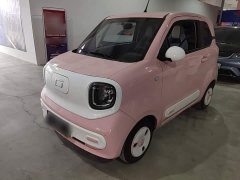 FAW Besturn Xiaoma 170km Vitality Edition - ფოტო 1